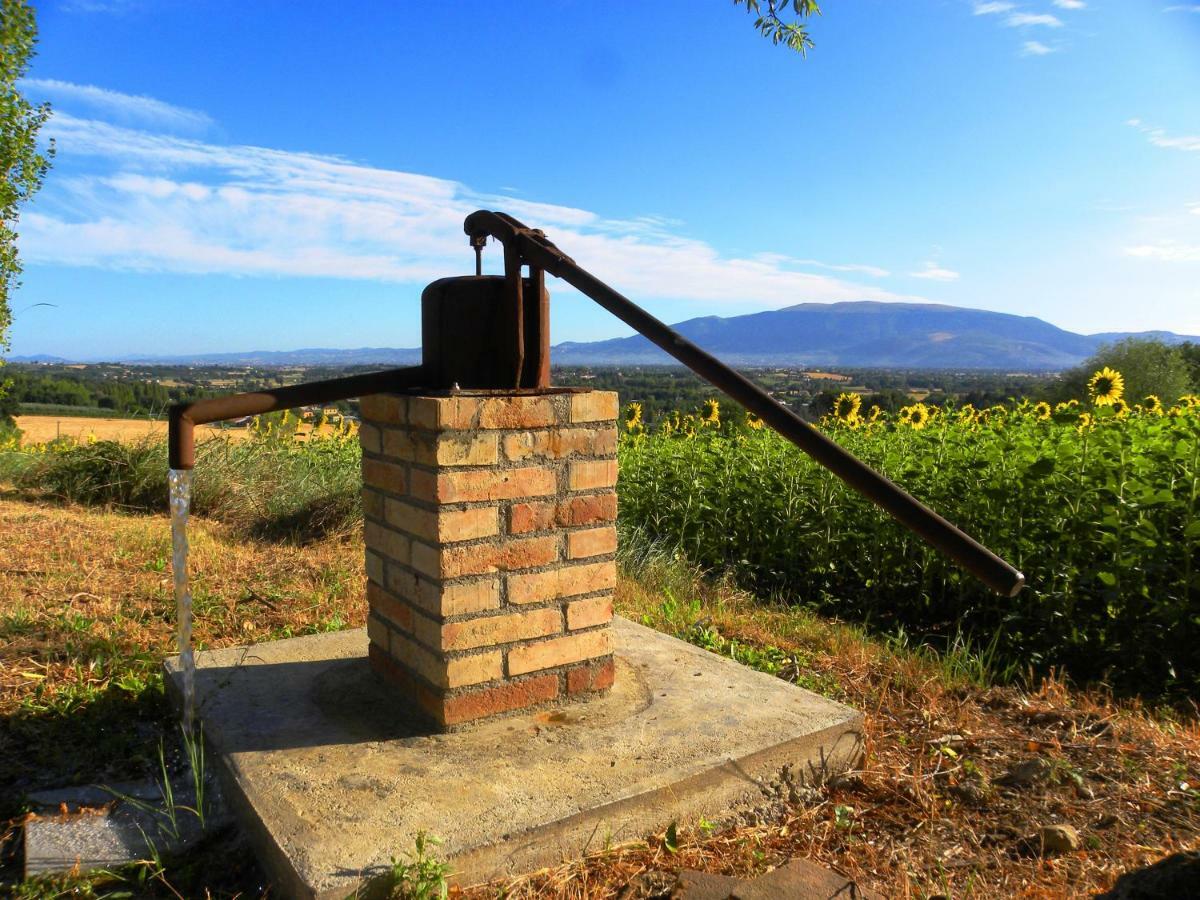 Appartamenti Verde Collina Umbra Bevagna Exterior foto