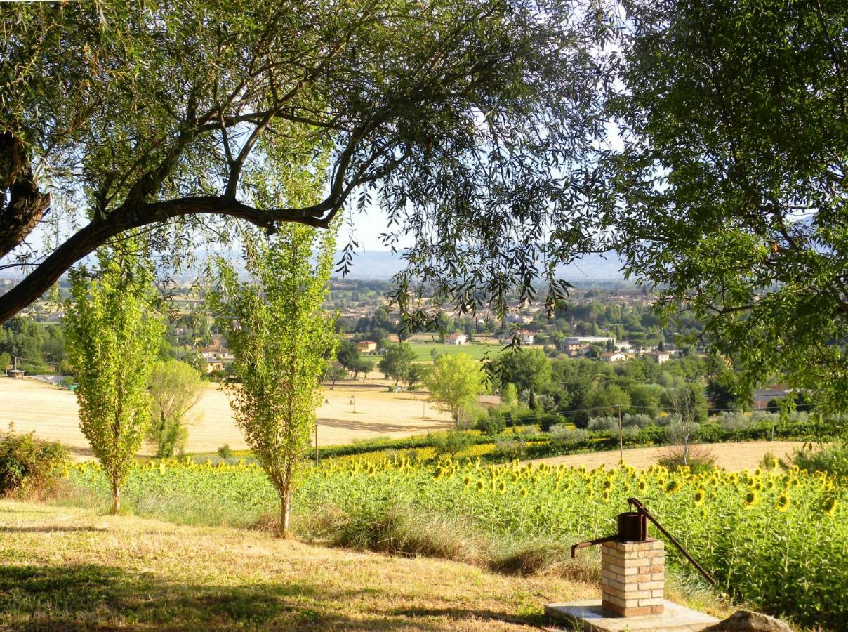Appartamenti Verde Collina Umbra Bevagna Exterior foto